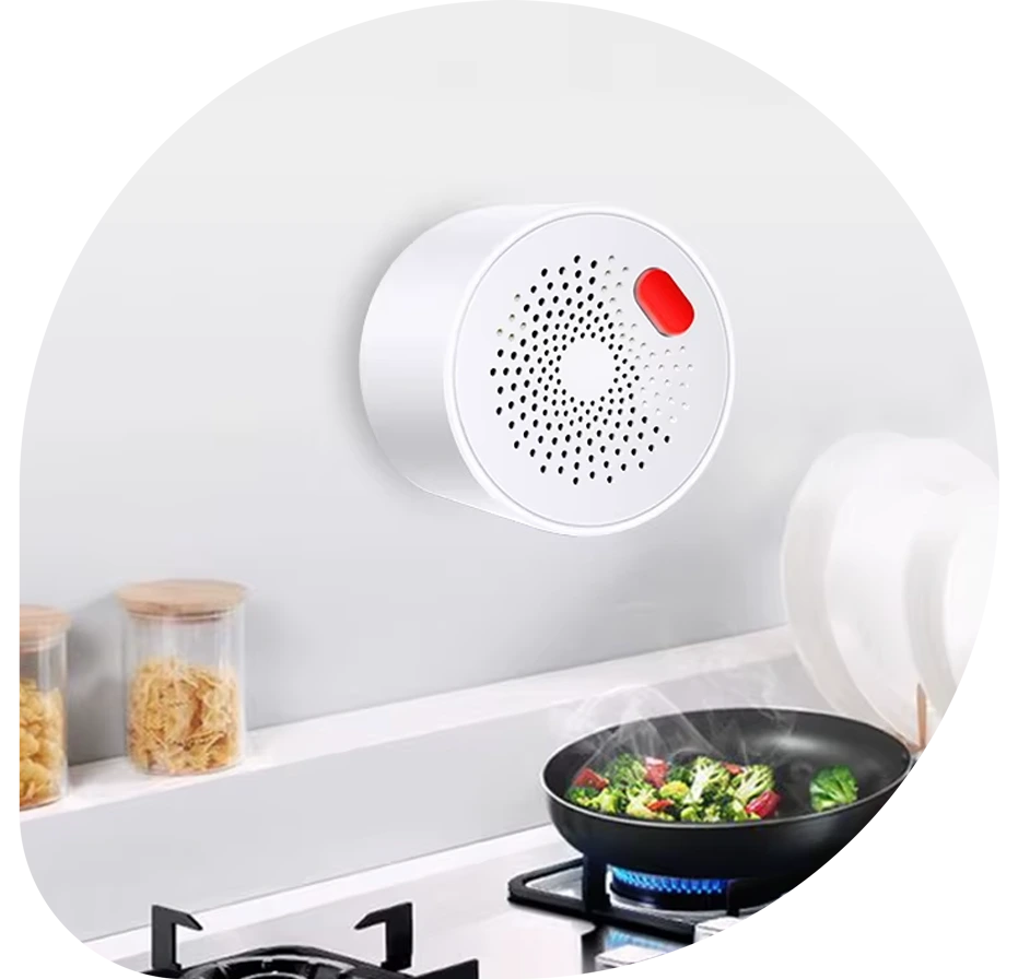 detector-de-fuga-de-gas